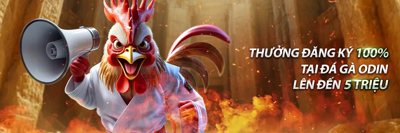 Chương trình VIP Win555 với các lợi ích độc quyền